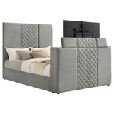 Tara - Upholstered Panel TV Bed