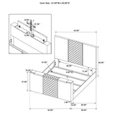 Tara - Upholstered Panel TV Bed