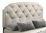 Marianna - 4-Drawer Upholstered Storage Bed