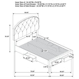 Marianna - 4-Drawer Upholstered Storage Bed