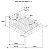 Dreux - Upholstered Panel Platform Bed