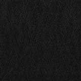 Finley - Upholstered Padded Arm Tufted Accent Chair - Black by CoasterEveryday | Bel Furniture