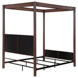 Zimmerlee - Metal Canopy Bed