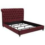 Devon 57-inch Upholstered Panel Bed Wine Red