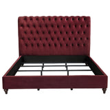 Devon 57-inch Upholstered Panel Bed Wine Red