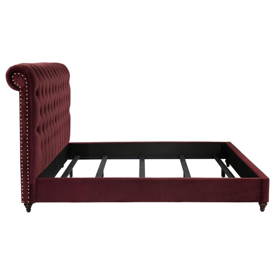 Devon 57-inch Upholstered Panel Bed Wine Red