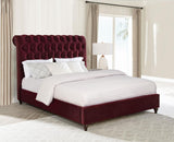 Devon 57-inch Upholstered Panel Bed Wine Red