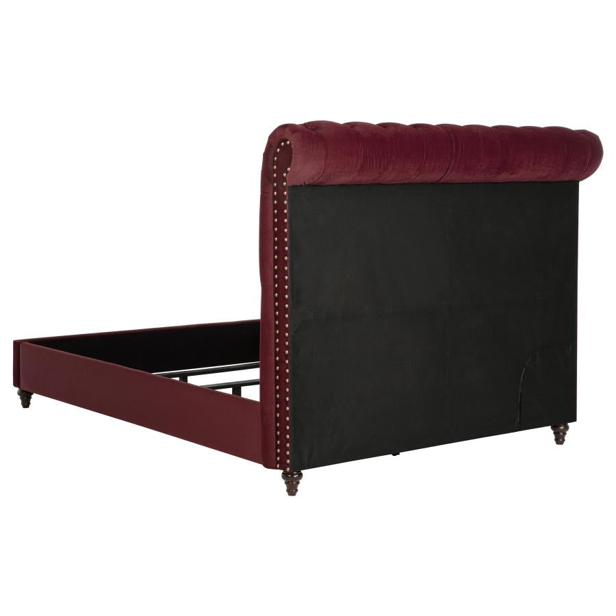 Devon 57-inch Upholstered Panel Bed Wine Red