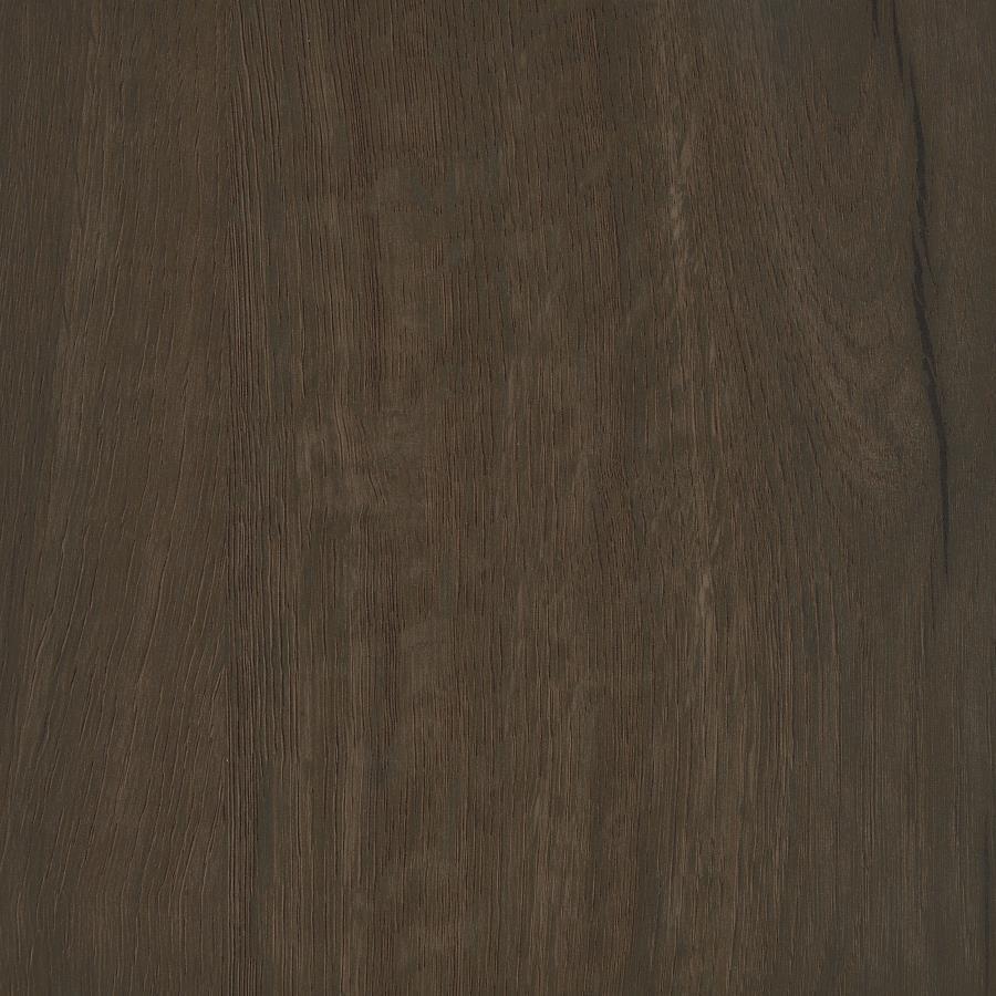 Brixton - 2-Door Padded Entryway Shoe Storage Bench by Coaster Fine Furniture | Bel Furniture