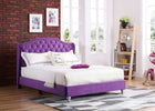 Upholstered Velvet Bed Transitional