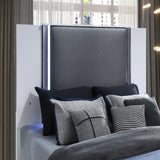 Moon - Bed & LED Accent Lighting