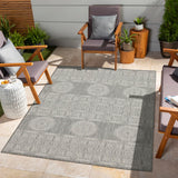 Sunshine - 5'3" X 7'3" Indoor, Outdoor Area Rug Polypropylene - Silver