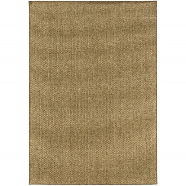 4' X 6' Indoor / Outdoor Area Rug - Tan