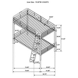 Carson - Metal Bunk Bed