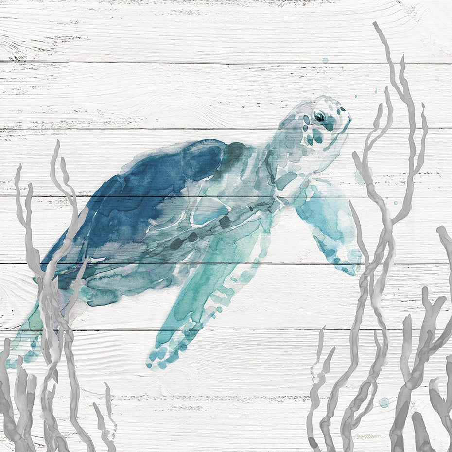 Aqua Turtle I By Carol Robinson (Framed) - Light Blue