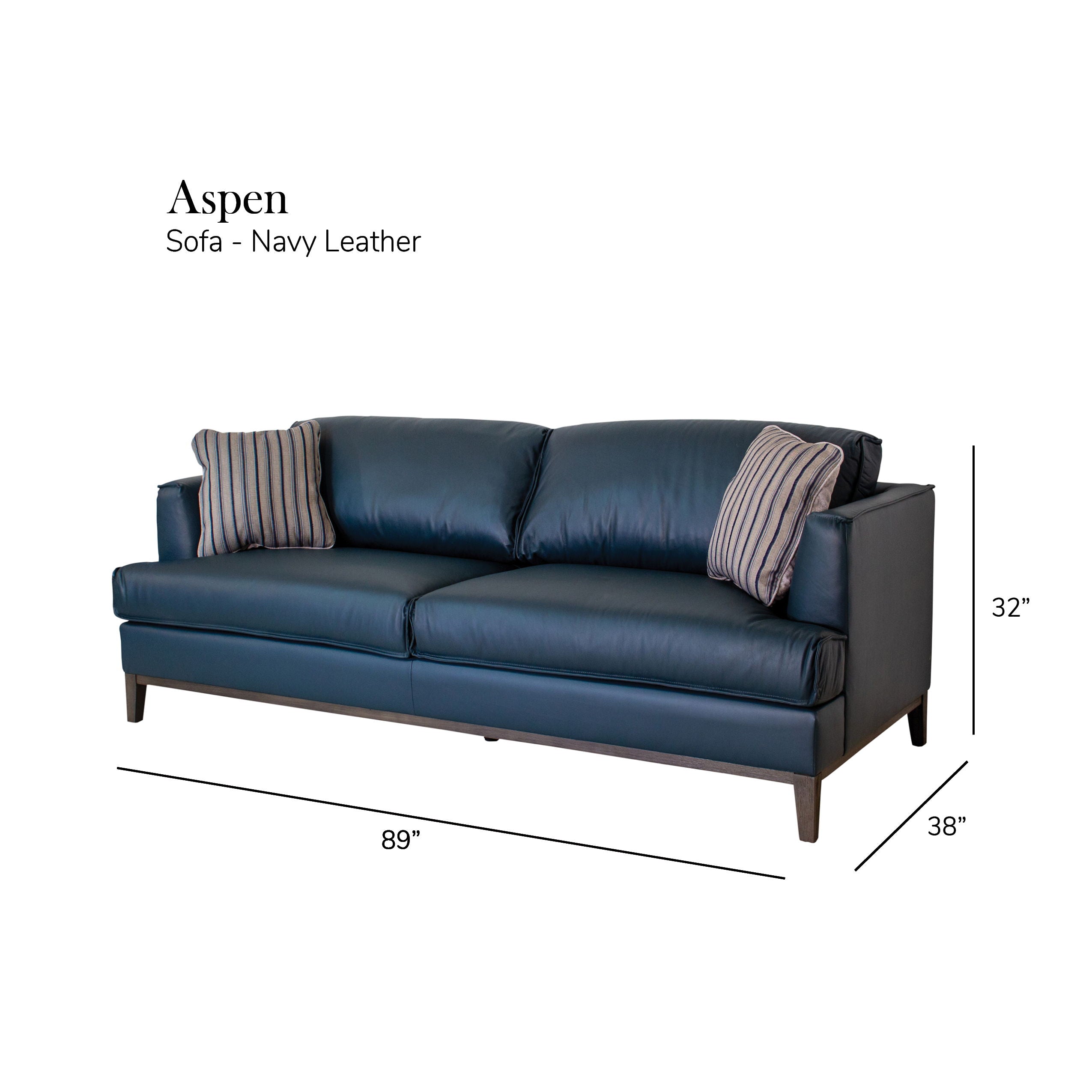 Aspen - Top Grain Leather Sofa