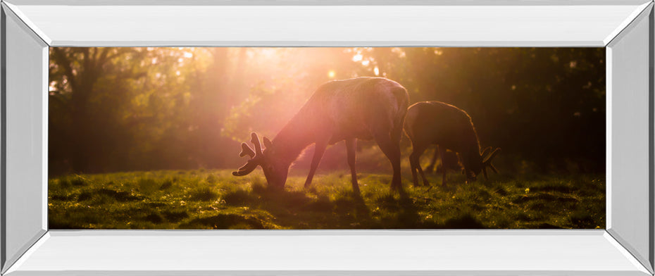 Morning Haze By Joe Reynolds - Print Wall Art - Dark Brown