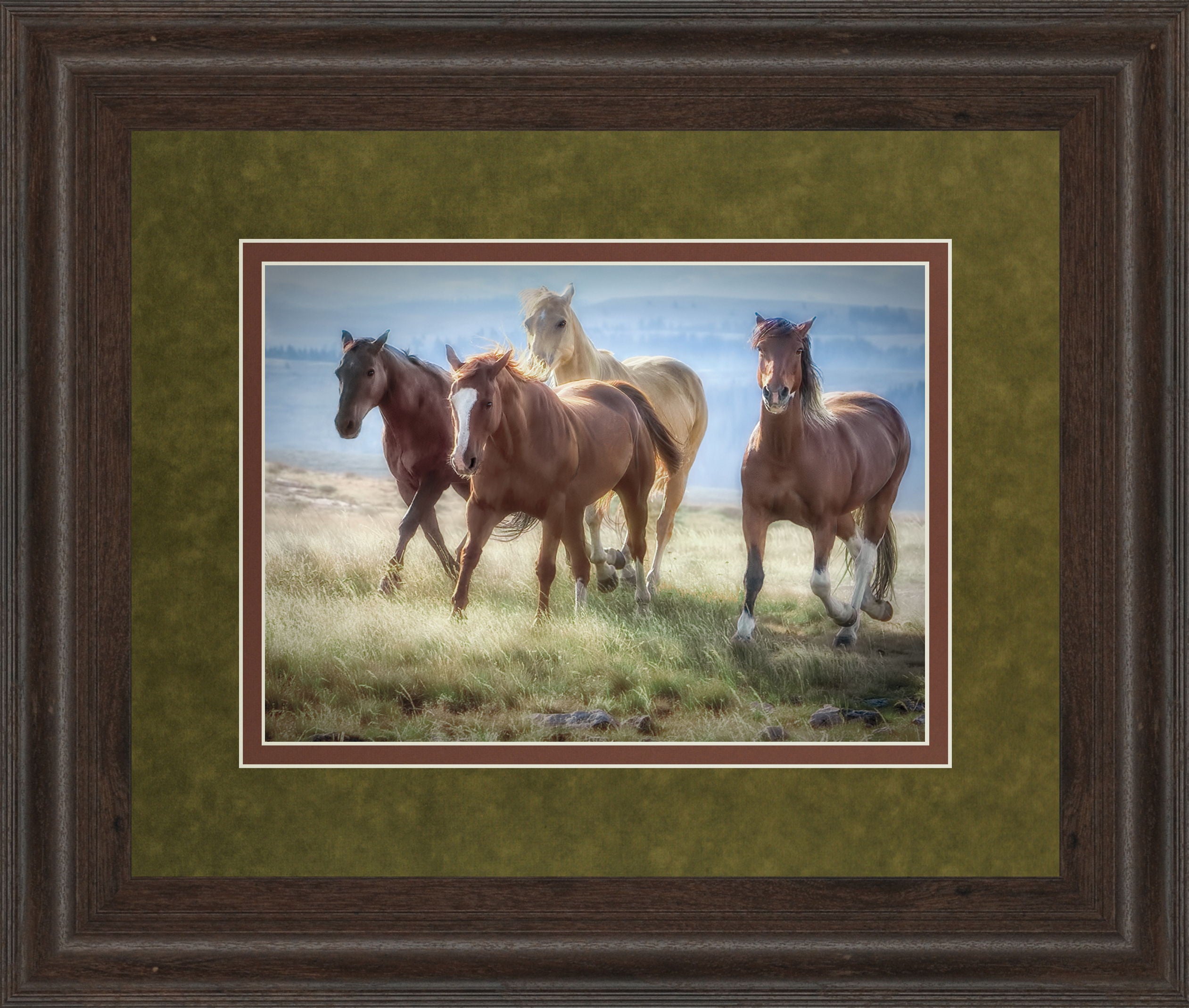 Morning Stroll By Wendy Caro - Framed Print Wall Art - White