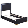 Marceline - Wood LED Panel Bed Black Twin by Coaster Fine Furniture | Bel Furniture