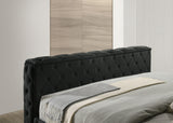 Josephine Bed W/Tv Lift Black