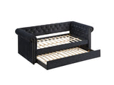 Ellie Daybed Black / Dove