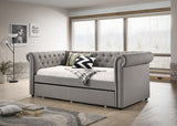 Ellie Daybed Black / Dove