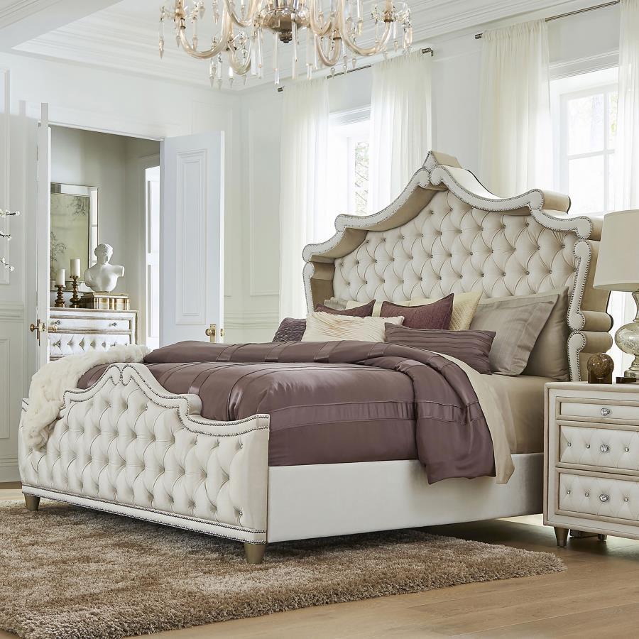 Antonella - Upholstered Panel Bed by CoasterElevations | Bel Furniture