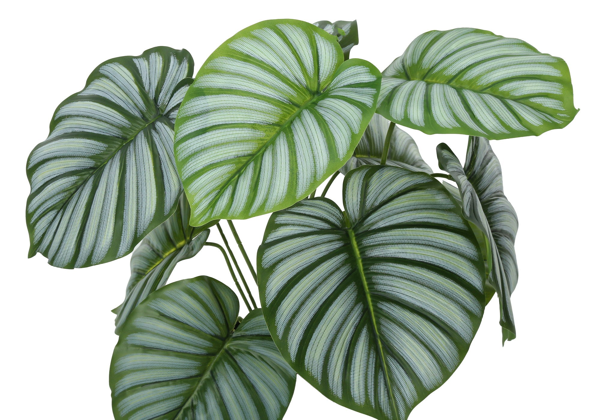 24" Tall, Artificial Plant, Calathea, Indoor, Faux, Fake, Table, Greenery, Potted, Real Touch, Decorative - Green / Black