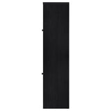 Denison - 67" 2-Door Media Tower Storage Cabinet - Black