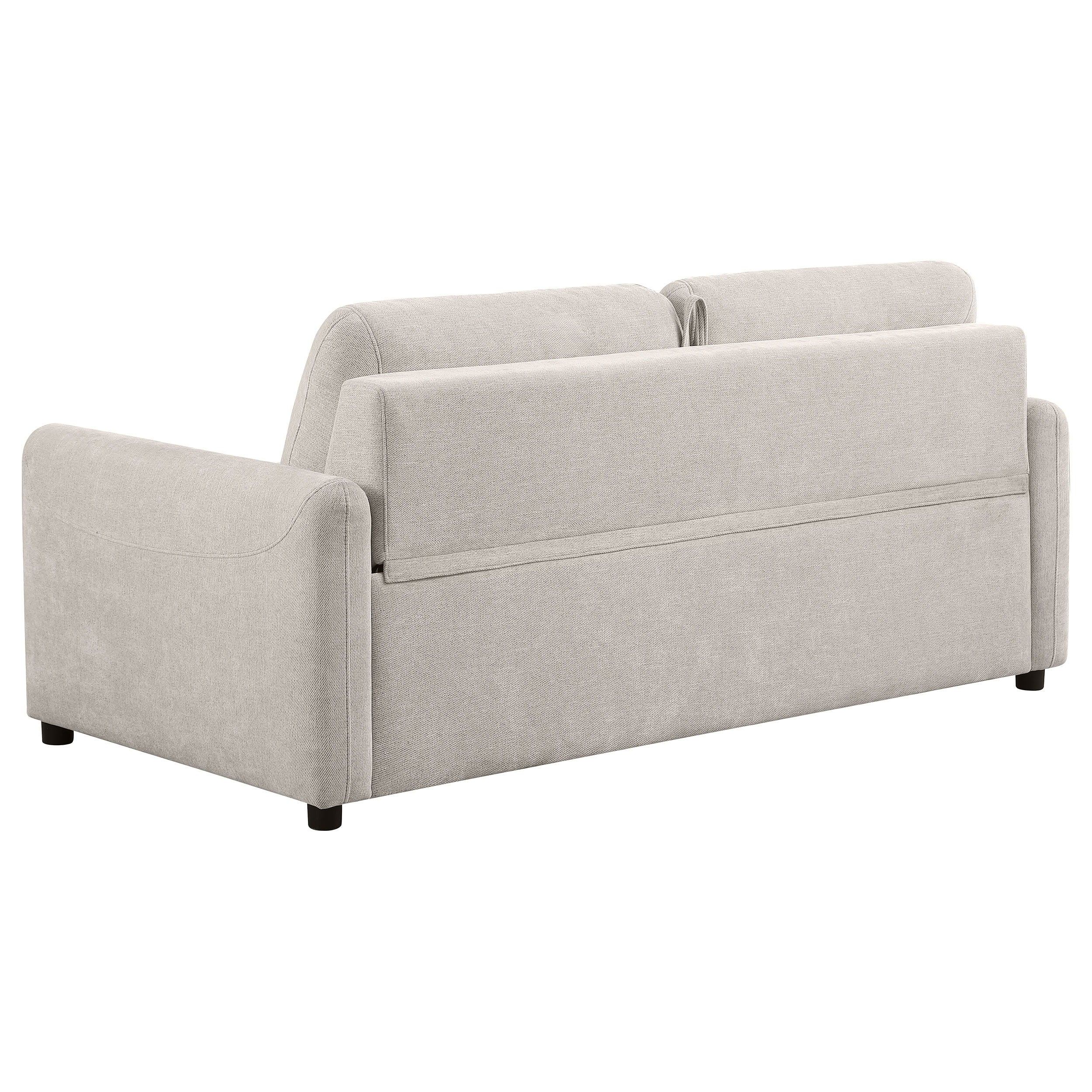 Rylie - Upholstered Sofa Sleeper With Queen Mattress