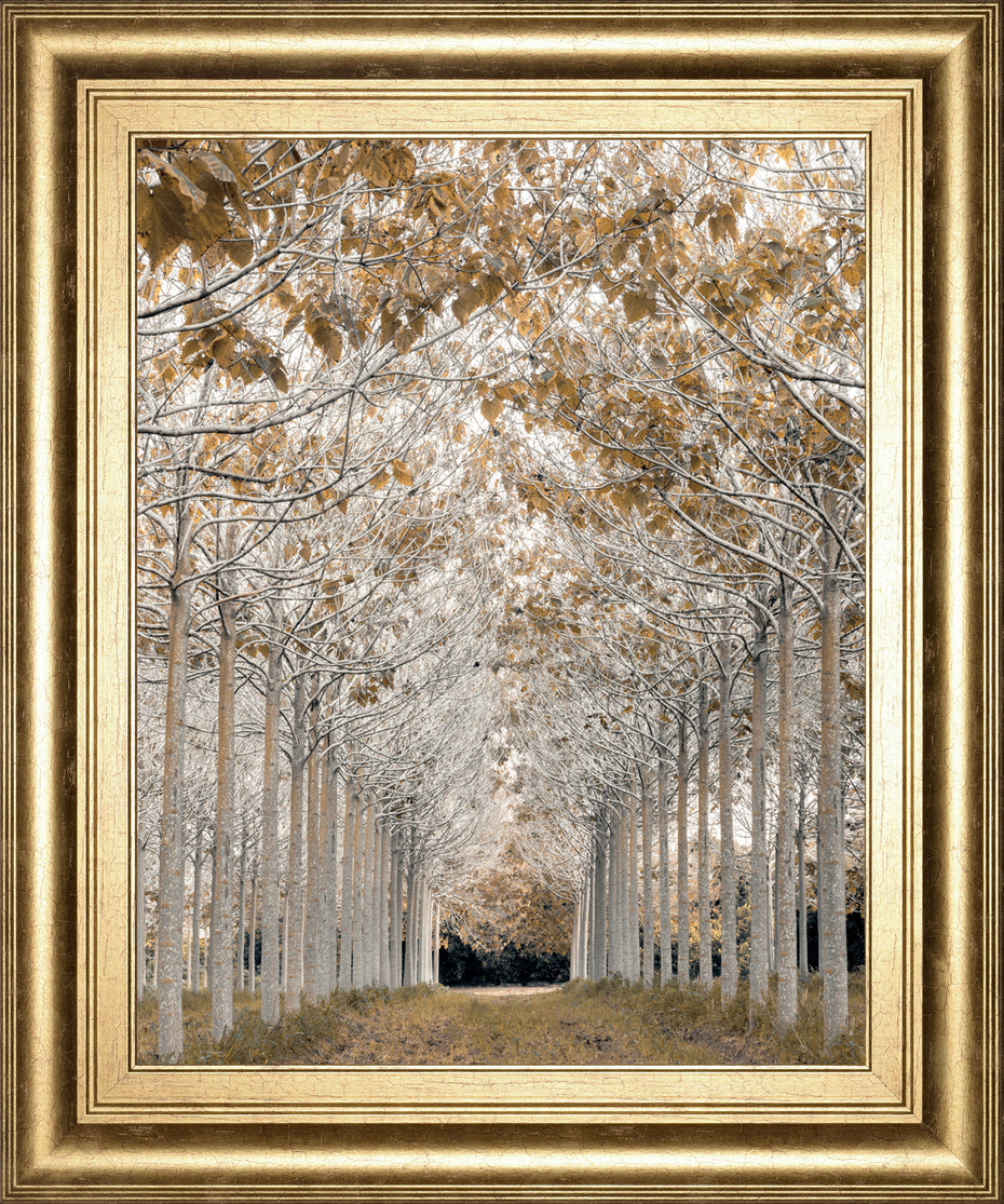 White Gold By Assaf Frank - Framed Print Wall Art - Gold