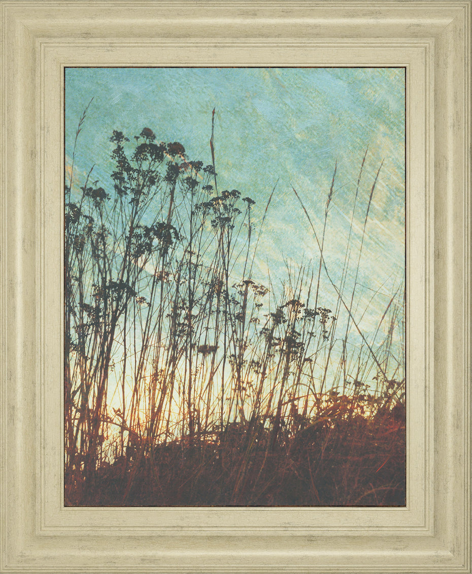 Wild Grass By Amy Melious - Framed Print Wall Art - Blue