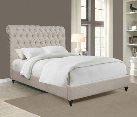 Devon - Upholstered Panel Bed by CoasterEssence | Bel Furniture