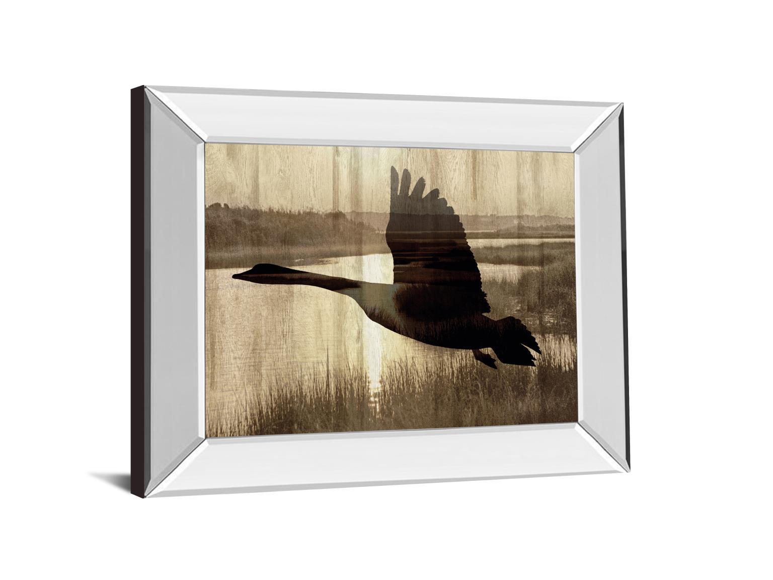 Journey By Tania Bello - Mirror Framed Goose Photo Print Wall Art - Black