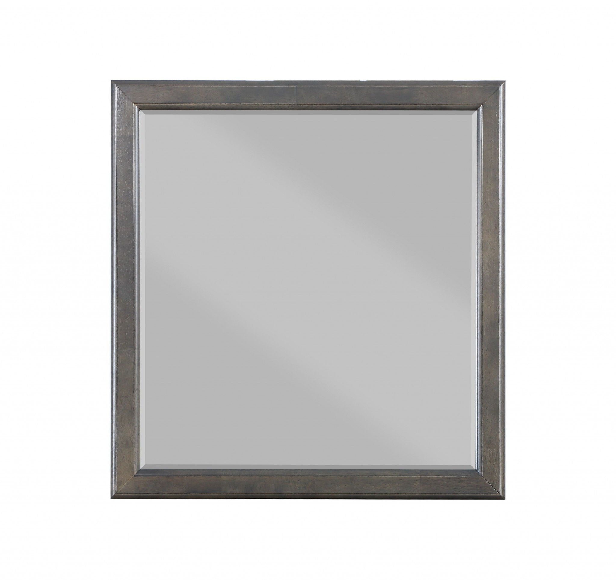 38" Wall Mounted Accent Mirror Rectangle - Silver