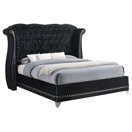 Barzini - Upholstered Wingback Bed Black Queen by CoasterElevations | Bel Furniture