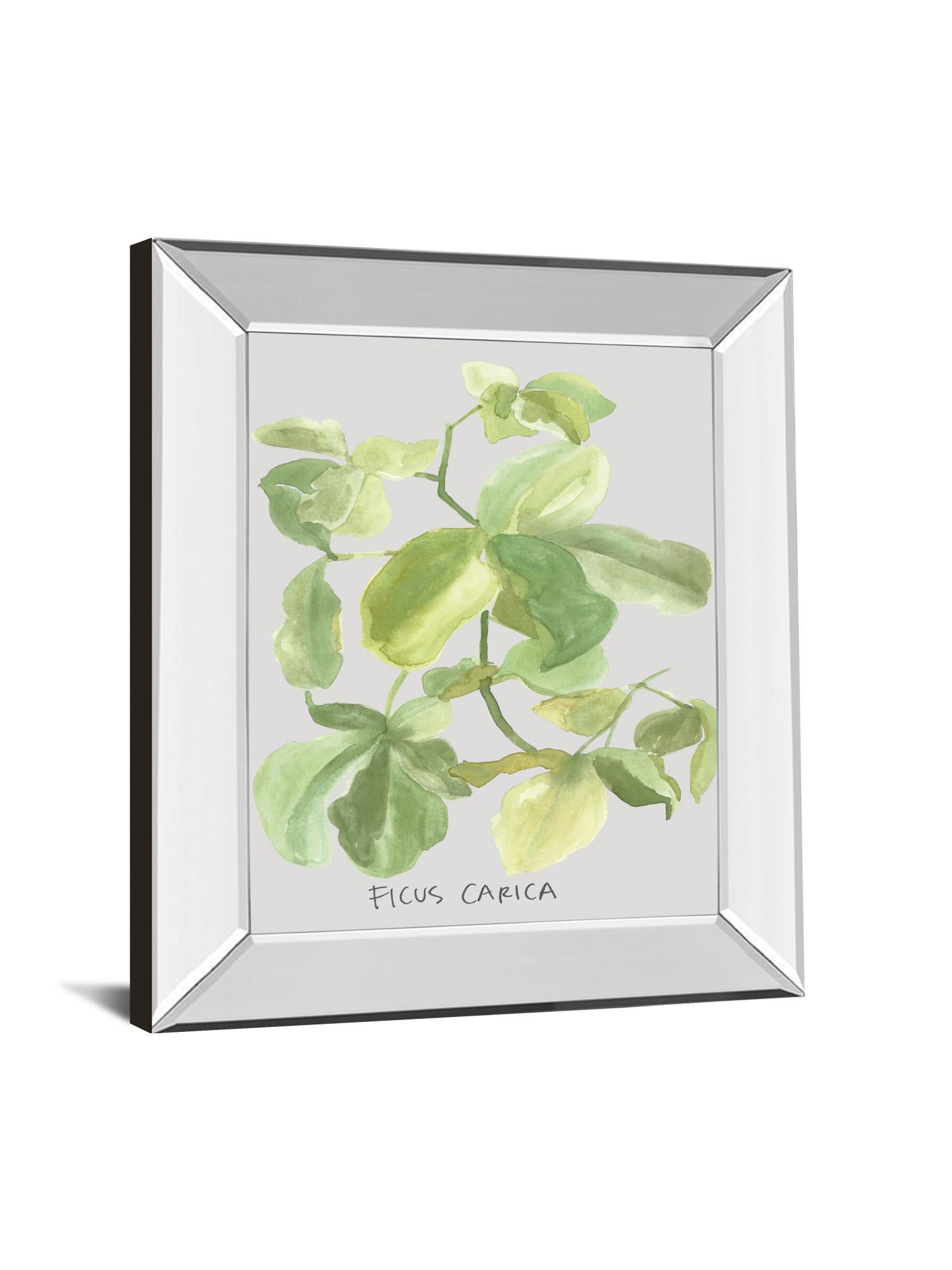 Ficus Carica By Katrien Soeffers - Mirror Framed Print Wall Art - Green