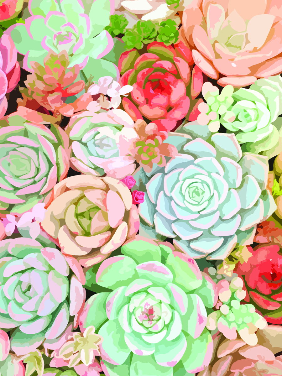 Succulent By Tamara Robinson - Pink