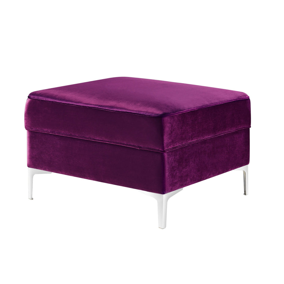 Velvet Storage - Purple / Silver