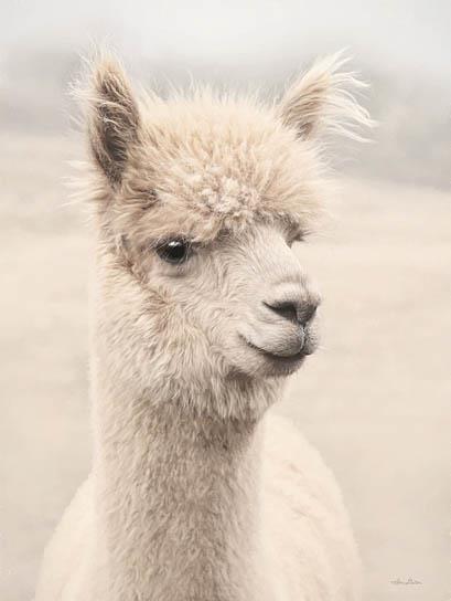 Soft Alpaca 1 By Lori Deiter - Beige