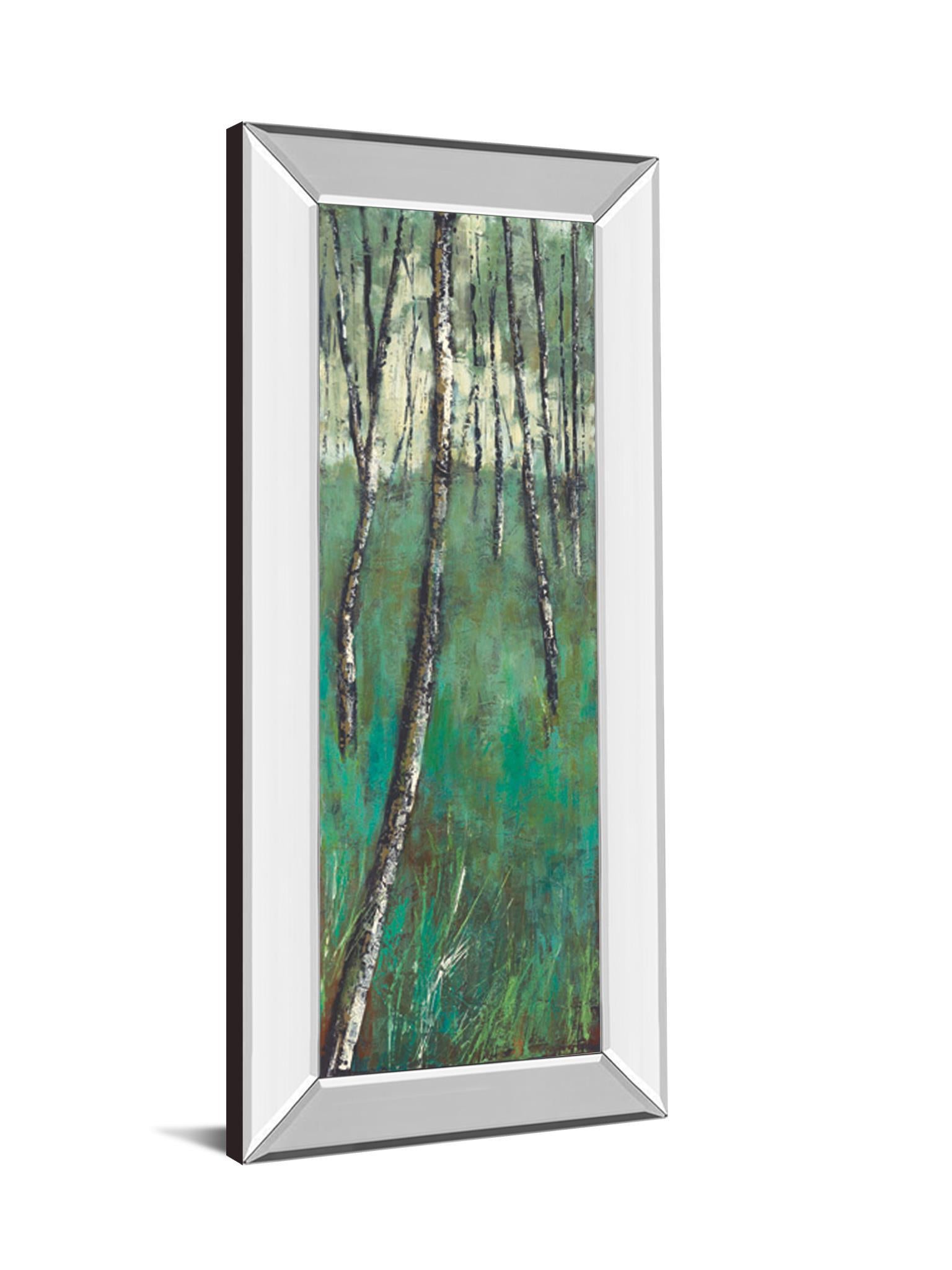 Nature Companion Il By Solis - Mirror Framed Print Wall Art - Blue