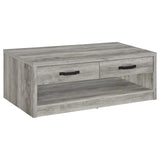 Felix - 2-Drawer Engineered Wood Coffee Table - Gray Driftwood