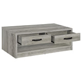 Felix - 2-Drawer Engineered Wood Coffee Table - Gray Driftwood