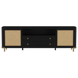 Arini - Rattan Cane 2-Door TV Stand Media Console