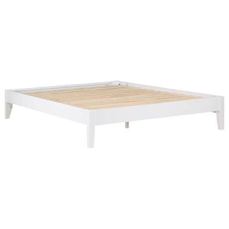 Hounslow - Universal Platform Bed White Queen by CoasterEssence | Bel Furniture