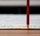 Elegance - GC_CNC6010 Area Rug by Icona Home Decor | Bel Furniture