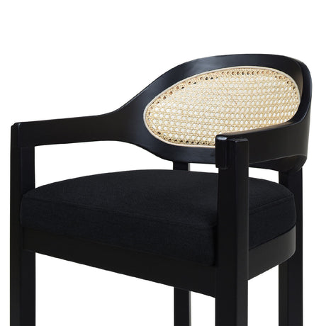 Americana - Mid-Century Modern Cane Back Counter Stool by Jennifer Taylor Home | Bel Furniture