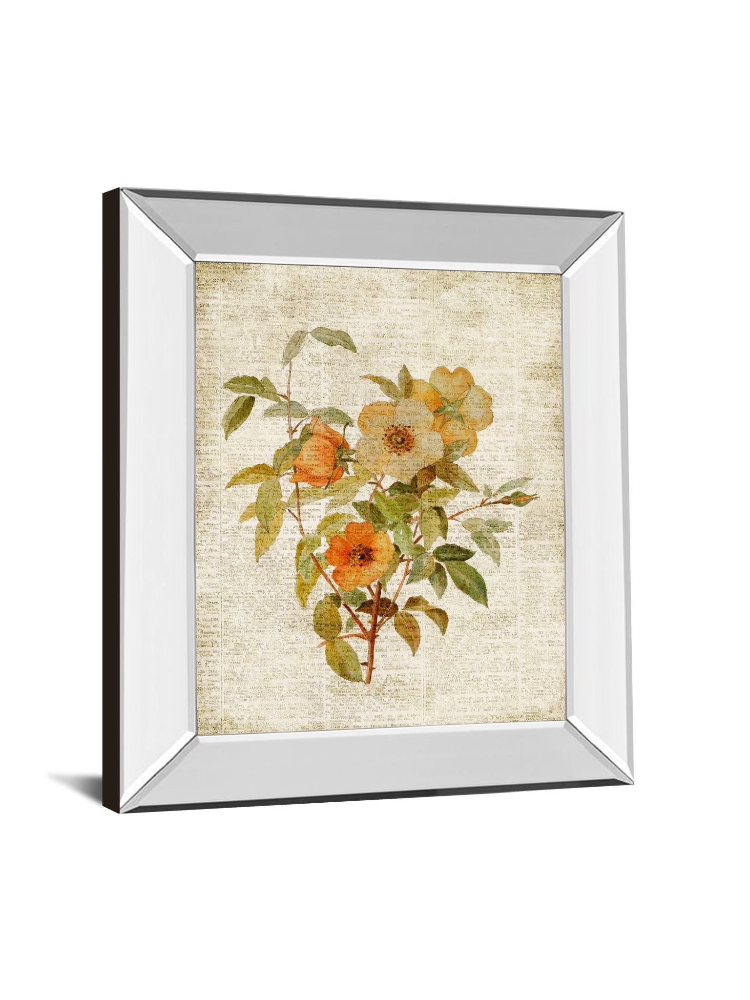 Roses On Newsprint I By Lanie Loreth - Mirror Framed Print Wall Art - Beige