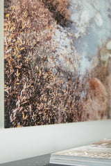 Darinby - Gray / Brown / White - Wall Art by Signature Design by Ashley® | Bel Furniture