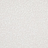 Knox - Upholstered Platform Bed by Coaster Fine Furniture | Bel Furniture